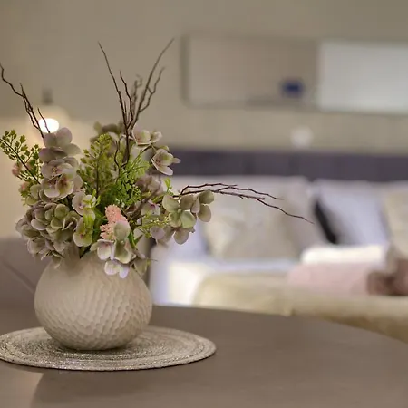 Pasko Properties Apartment Pula